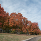 Illustration for article titled 48 Photos Of Autumn Around The World